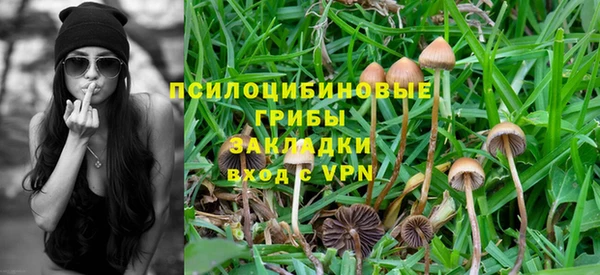 соль курить ск Медвежьегорск