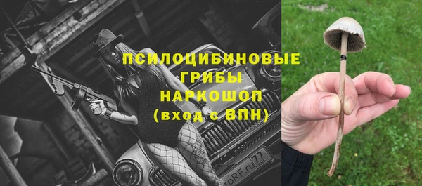 соль курить ск Медногорск