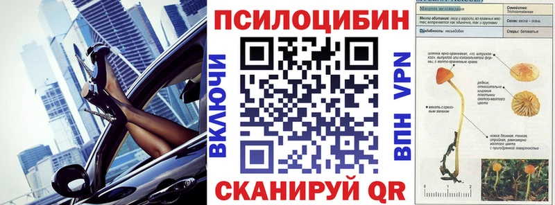 Купить закладки  Лесозаводск  Галлюциногенные грибы Psilocybe 